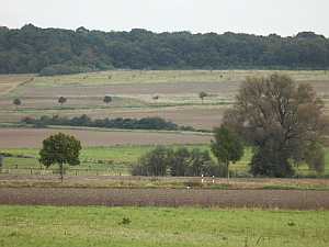 Landschaft am Rieseberg