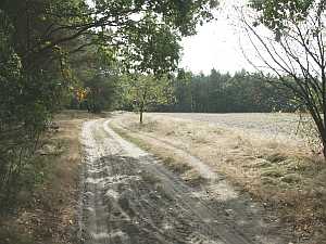 Feldweg Lauinger Fuhren