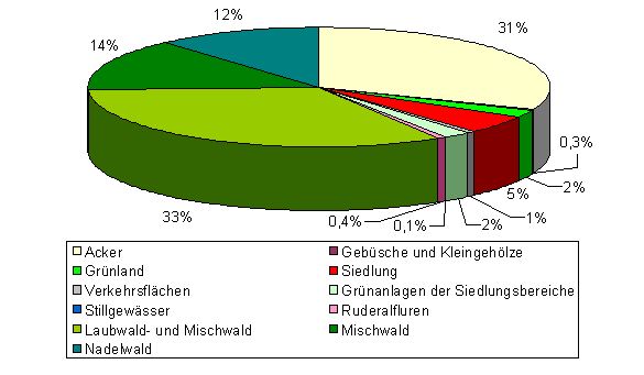 Arten und Biotope Elm