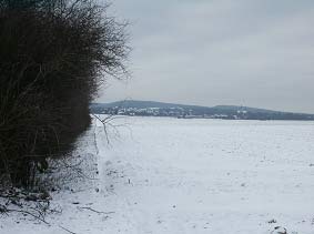 ausgerumte Ackerlandschaft